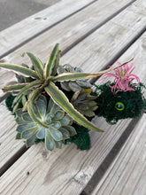 Load image into Gallery viewer, POPUP SUCCULENT BAR - Smiths Grove, KY (SUNDAY, APRIL 26) @ 2PM