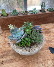 Load image into Gallery viewer, POP-UP SUCCULENT BAR - Newburgh, IN. SUNDAY, NOV 1 at 2pm