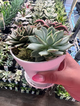 Load image into Gallery viewer, Teacher Appreciation Week 2026 - Gift a Deluxe Succulent Arrangement (Murfreesboro & Rutherford Co. Schools) - May 4-8th