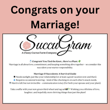 Load image into Gallery viewer, SuccuGram Gift Boxes (Choose your Occasion)