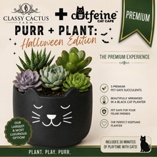 Load image into Gallery viewer, Purr + Plant - FRIDAY, OCT 2 - 6pm-8pm (AT CATFEINE CAT CAFE IN MURFREESBORO, TN)