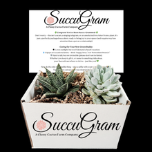 Load image into Gallery viewer, SuccuGram Gift Boxes (Choose your Occasion)