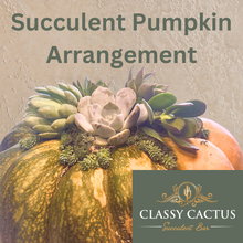 Load image into Gallery viewer, Succulent Pumpkin Arrangement Workshop - October & November Dates Available! (MURFREESBORO, TN)