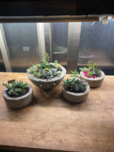 Load image into Gallery viewer, POP-UP SUCCULENT BAR - Newburgh, IN. SUNDAY, NOV 1 at 2pm
