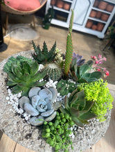 Load image into Gallery viewer, Reserve a Seat at the Succulent Bar (Murfreesboro, TN) - 1.5 hour Event