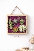 Load image into Gallery viewer, Moss & Air Botanical Living Frame Workshop (Coming Soon!) - Murfreesboro, TN