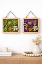 Load image into Gallery viewer, Moss & Air Botanical Living Frame Workshop (Coming Soon!) - Murfreesboro, TN
