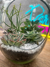 Load image into Gallery viewer, Reserve a Seat at the Succulent Bar (Murfreesboro, TN) - 1.5 hour Event