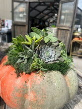 Load image into Gallery viewer, POP-UP SUCCULENT BAR - Newburgh, IN. SUNDAY, NOV 1 at 2pm