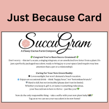 Load image into Gallery viewer, SuccuGram Gift Boxes (Choose your Occasion)