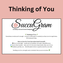 Load image into Gallery viewer, SuccuGram Gift Boxes (Choose your Occasion)