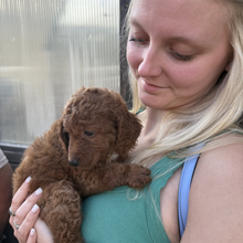 Load image into Gallery viewer, Puppy & Plant Afternoon - SATURDAY, Aug 15 2:30pm-4:30pm