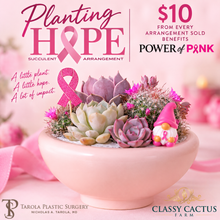 Load image into Gallery viewer, Planting Hope DIY Succulent Arrangement Box. PREORDER. Ships in October