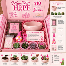 Load image into Gallery viewer, Planting Hope DIY Succulent Arrangement Box. PREORDER. Ships in October