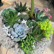 Load image into Gallery viewer, POP-UP SUCCULENT BAR - Newburgh, IN. SUNDAY, NOV 1 at 2pm