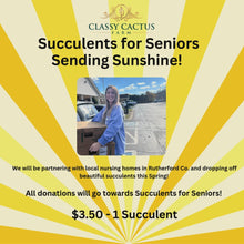 Load and play video in Gallery viewer, Succulents for Seniors β Gift a Succulent π΅π
