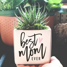 Load image into Gallery viewer, Punny Pots