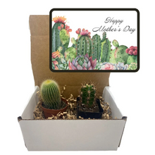 Load image into Gallery viewer, Cactus Gift Box - (set of 2) Happy Mother's Day