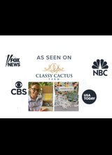Load image into Gallery viewer, Cactus Gift Box - (set of 2) I’ll never desert you.