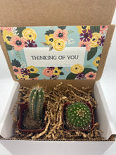 Load image into Gallery viewer, Cactus Gift Box - Thinking of You (set of 2)