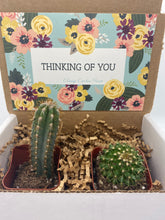 Load image into Gallery viewer, Cactus Gift Box - Thinking of You (set of 2)