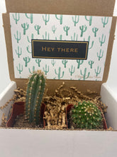Load image into Gallery viewer, Cacti Gift Box - Hey There (set of 2)