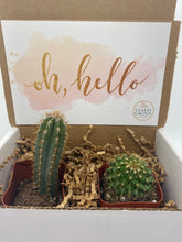 Load image into Gallery viewer, Cactus Gift Box - Oh, Hello! (Set of 2)