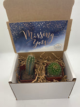 Load image into Gallery viewer, Cactus Gift Box - Missing You (set of 2 Cacti)