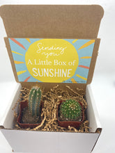 Load image into Gallery viewer, Cactus Gift Box - Box of sunshine (set of 2)