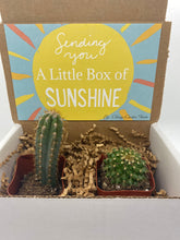 Load image into Gallery viewer, Cactus Gift Box - Box of sunshine (set of 2)