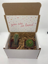 Load image into Gallery viewer, Cactus Gift Box - You are loved (set of 2)