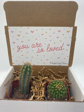 Load image into Gallery viewer, Cactus Gift Box - You are loved (set of 2)