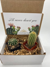 Load image into Gallery viewer, Cactus Gift Box - (set of 2) I’ll never desert you.