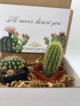 Load image into Gallery viewer, Cactus Gift Box - (set of 2) I’ll never desert you.