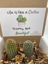 Load image into Gallery viewer, Cactus Gift Box - Life is Like a Cactus... (set of 2 Cacti )