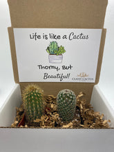Load image into Gallery viewer, Cactus Gift Box - Life is Like a Cactus... (set of 2 Cacti )