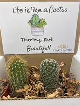 Load image into Gallery viewer, Cactus Gift Box - Life is Like a Cactus... (set of 2 Cacti )