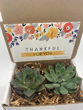 Load image into Gallery viewer, Succulent Gift Box - Thankful for You
