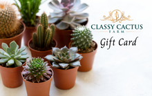 Load image into Gallery viewer, Classy Cactus Farm Online Gift Card