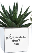 Load image into Gallery viewer, Punny Pots