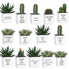 Load image into Gallery viewer, Punny Pots