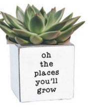 Load image into Gallery viewer, Punny Pots