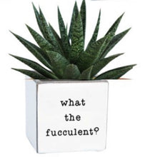 Load image into Gallery viewer, Punny Pots