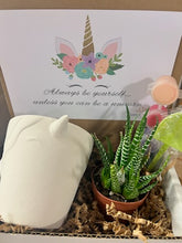 Load image into Gallery viewer, DIY Unicorn Succulent Gift Box - Be Yourself Unicorn