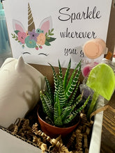 Load image into Gallery viewer, DIY Unicorn Succulent Gift Box - Sparkle