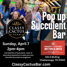 Load image into Gallery viewer, POP-UP SUCCULENT BAR - Chattanooga, TN SUNDAY, APRIL 7 at 2pm - 3 Spots left!!
