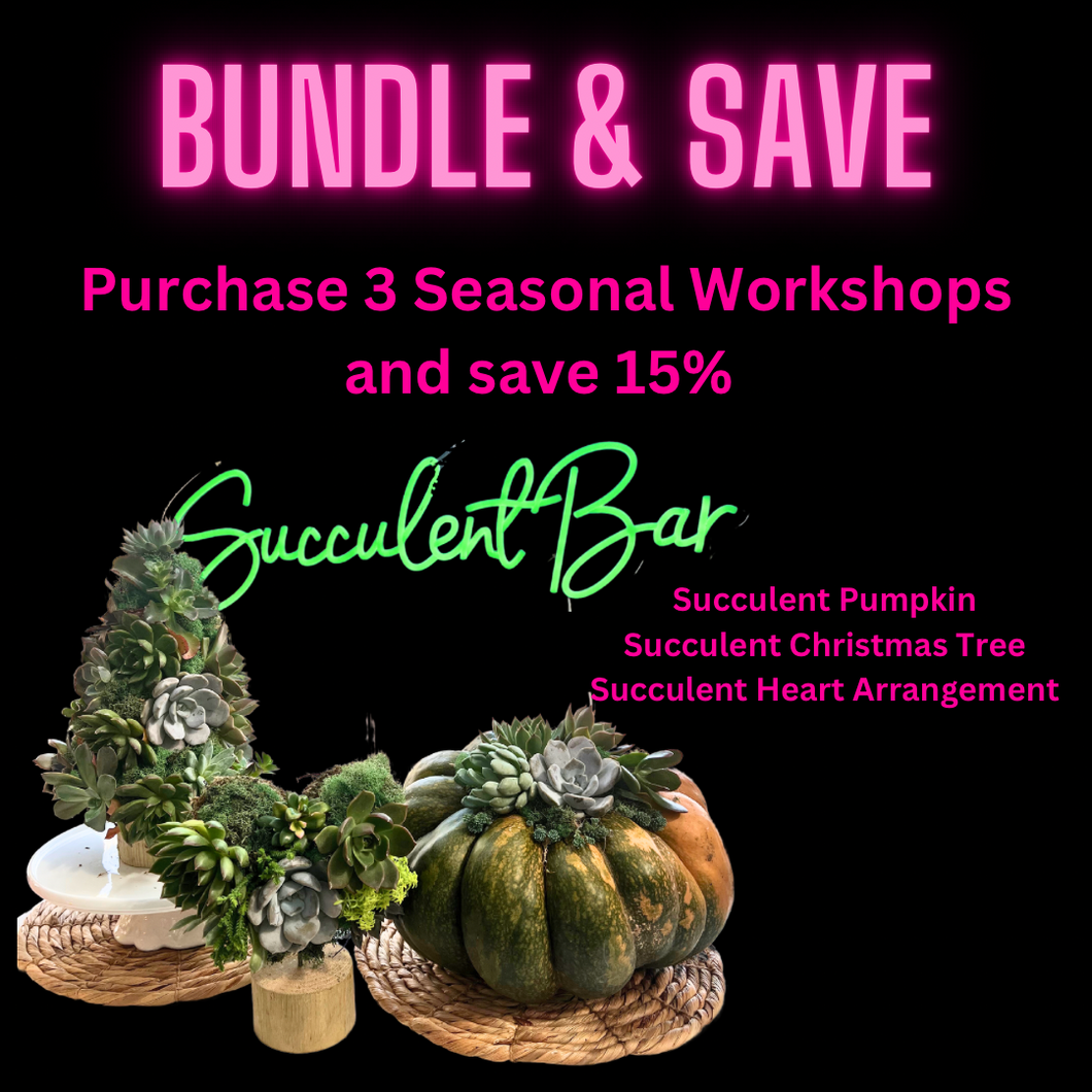 Save 15% when you purchase 3 Holiday Workshops
