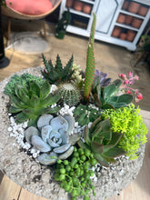Load image into Gallery viewer, POP-UP SUCCULENT BAR - Bowling Green, KY. SUNDAY, MARCH 24 AT 2PM
