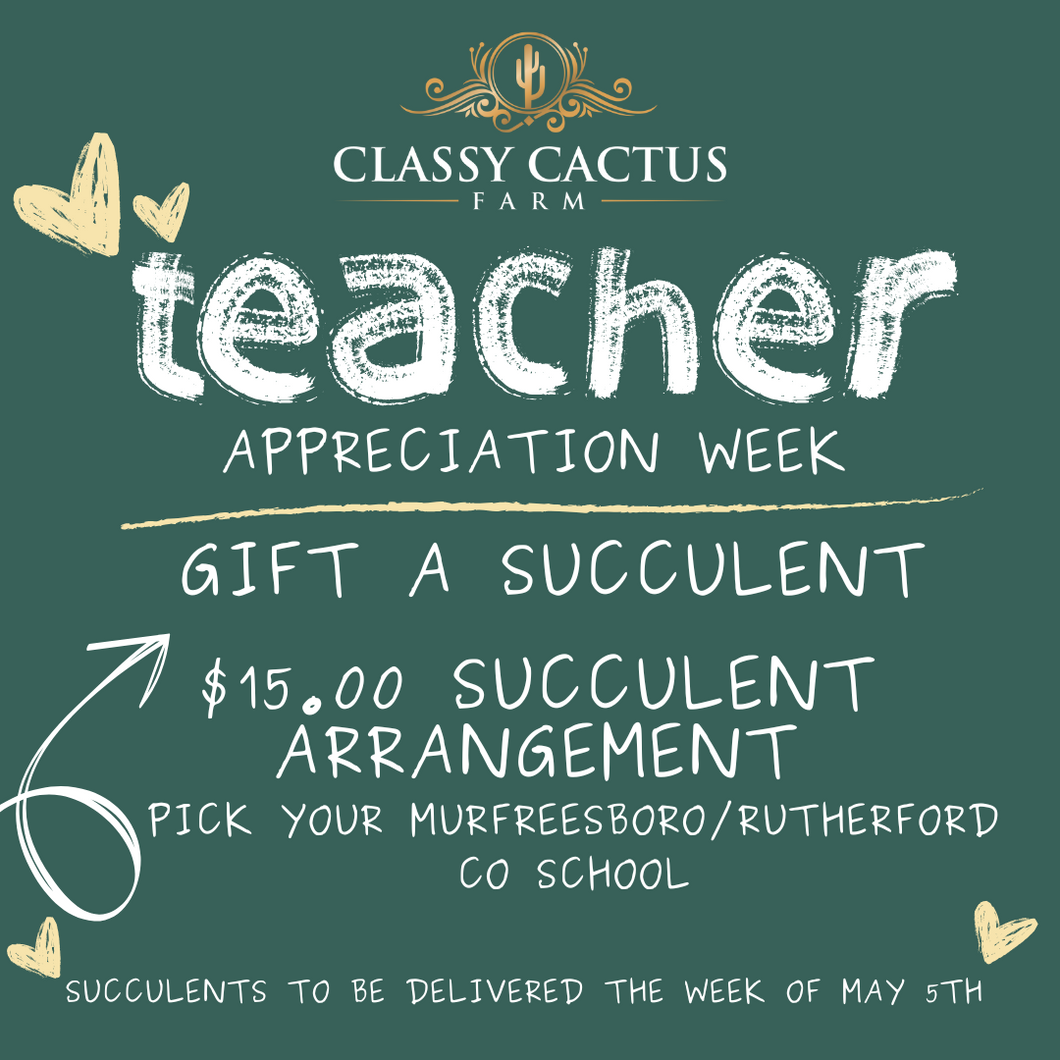Teacher Appreciation Week 2026 - Gift a Deluxe Succulent Arrangement (Murfreesboro & Rutherford Co. Schools) - May 4-8th
