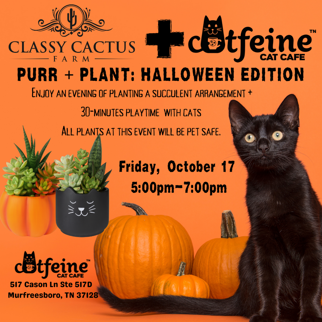 Cat + Cactus Mixer - FRIDAY, OCT 17 - 5pm-7pm (MURFREESBORO, TN)
